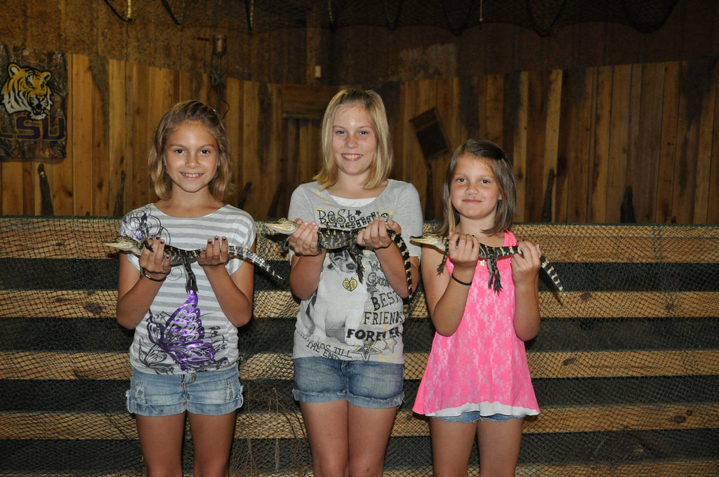 airboat adventures swamp tours new orleans