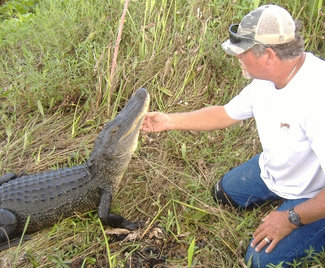 alligator tour near new orleans