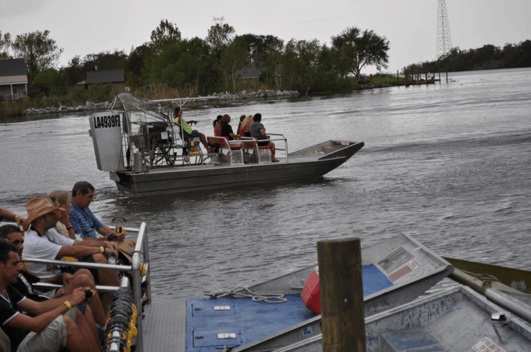 swamp boat tour new orleans airboat ride on the water
