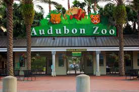 audubon zoo, adventures for kids in new orleans