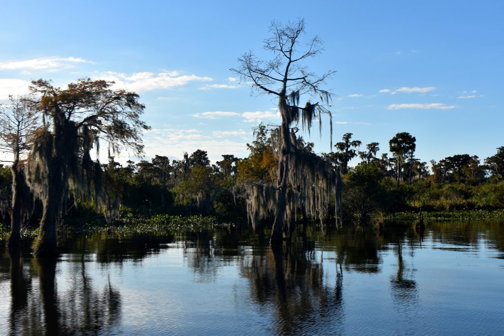 gallery of photos of airboat tours in new orleans