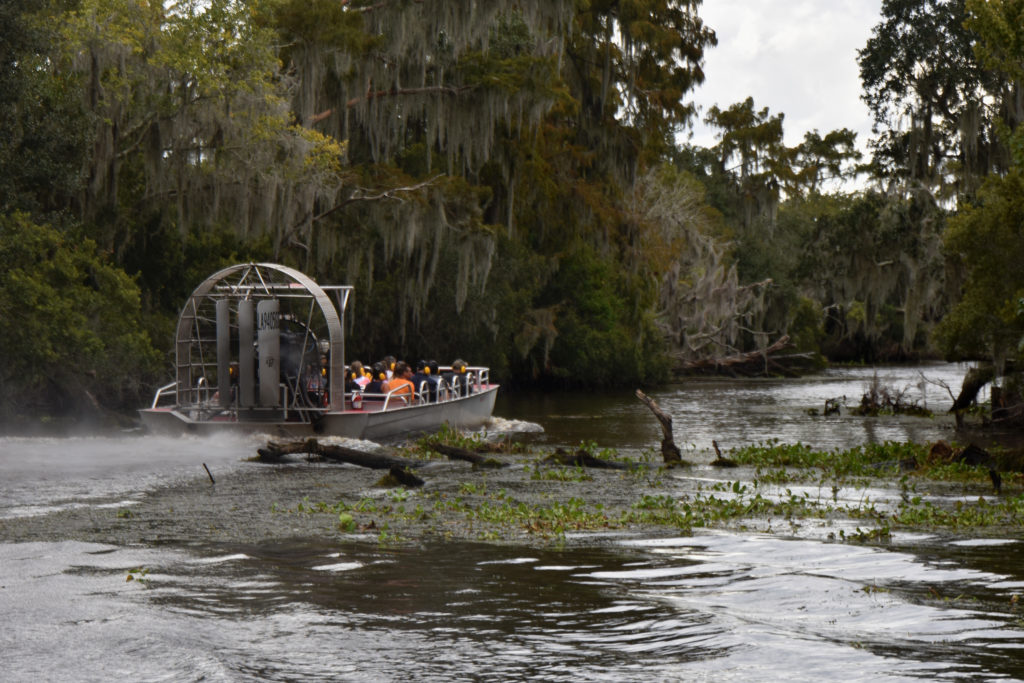 Your Guide to New Orleans Swamp Tours | Airboat Adventures