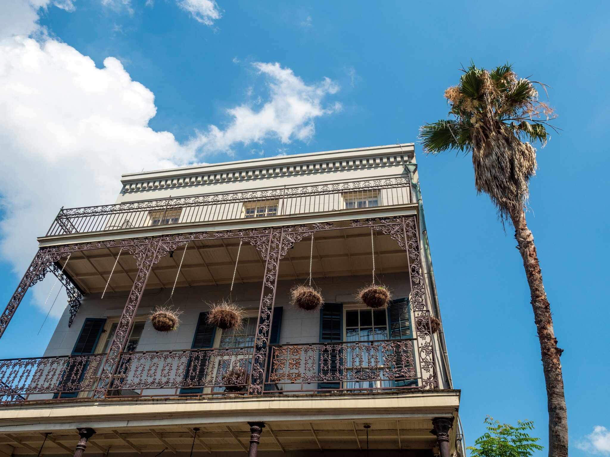 New Orleans in the summer