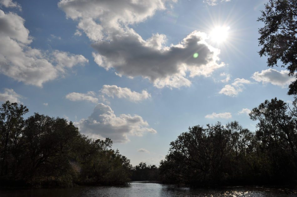 7980301461_b3742e66cf_b-e1520356995446