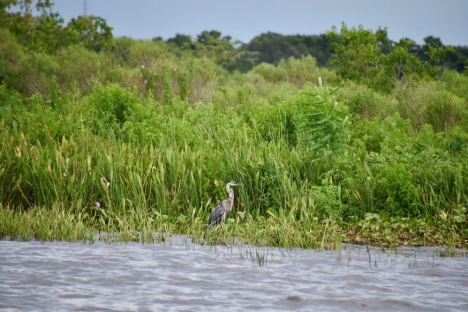 airboat3-e1520355063648