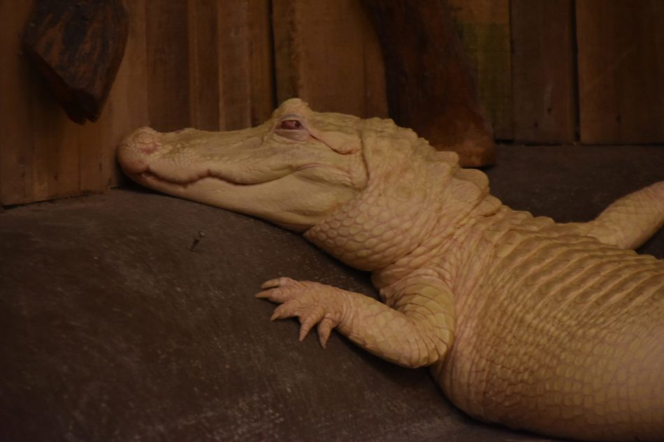 store-025-e1520354404601