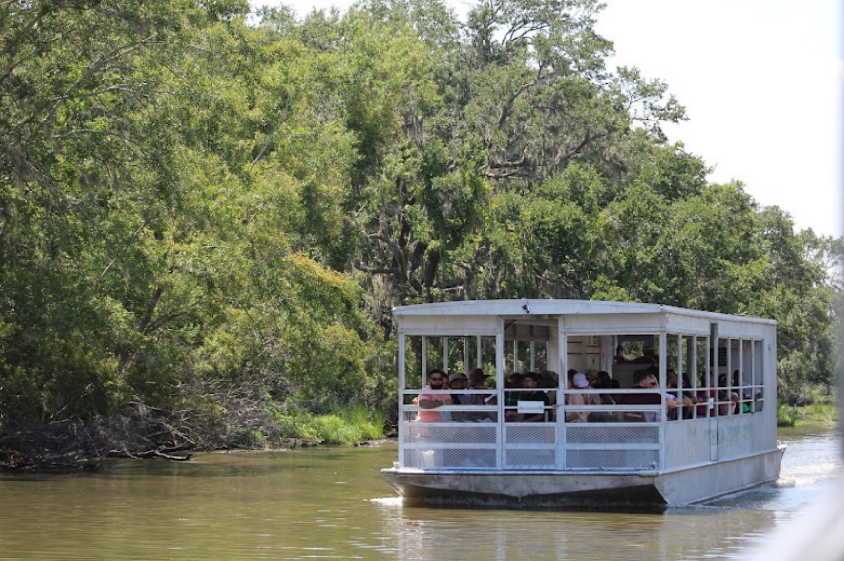 swamp tour on pontoon