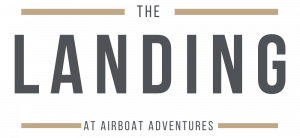 The-Landing-e1589474552831