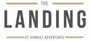 The-Landing-e1589474552831